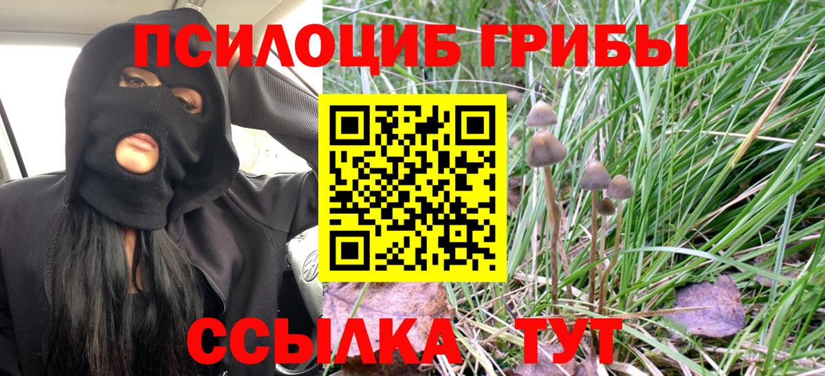 Орск  Галлюциногенные грибы Magic Shrooms  Вход с VPN 