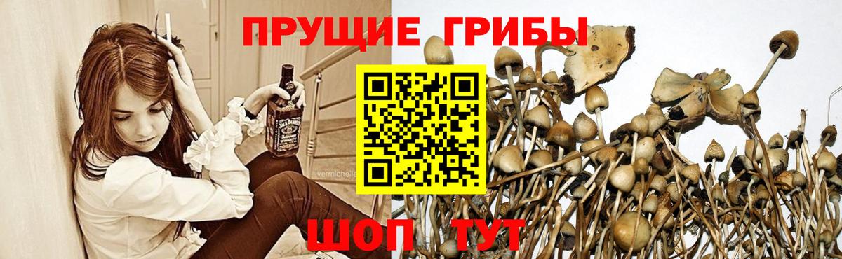 Галлюциногенные грибы GOLDEN TEACHER Орск